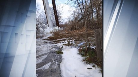 В Бековском районе случился ледяной апокалипсис