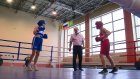 В «Рубине» 12 боксерских клубов сошлись на ринге