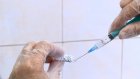 Жители Пензы смогут исправить неверные сведения о прививках