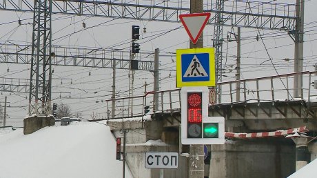 Новым светофором на ул. Володарского будут управлять пешеходы
