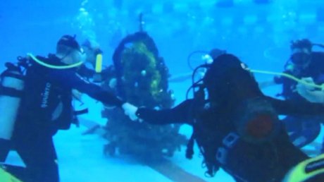 Пензенские дайверы устроили традиционную «Елку под водой»