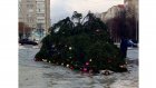 В Кузнецке рухнула главная новогодняя елка