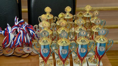 В Пензе 160 самбистов сразились на турнире в честь 23 Февраля