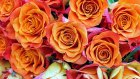 Пензенцам посоветовали дарить тещам оранжевые цветы