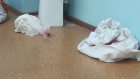 Жалоба на кровавые простыни на полу больницы № 6 разозлила пензенцев