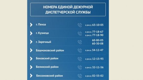 Паводок: для жителей Бессоновского района устроили телефонный квест