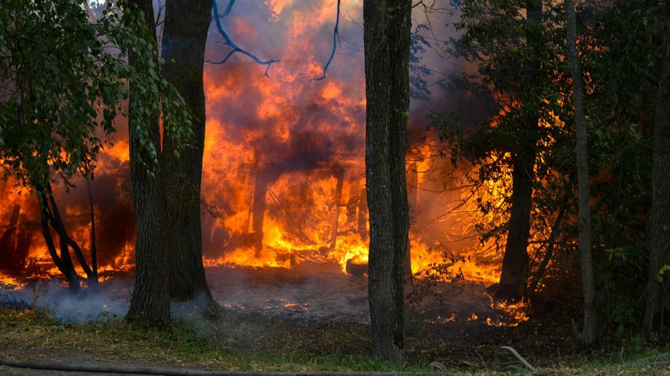 В Пензенской области прогнозируют высокие риски лесных пожаров