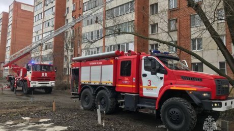 В Пензе пожарные спасли из огня детей, взрослых и кошку