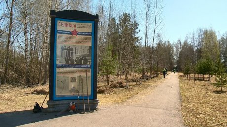 На станции Селикса высадят рябины в память о защитниках Родины