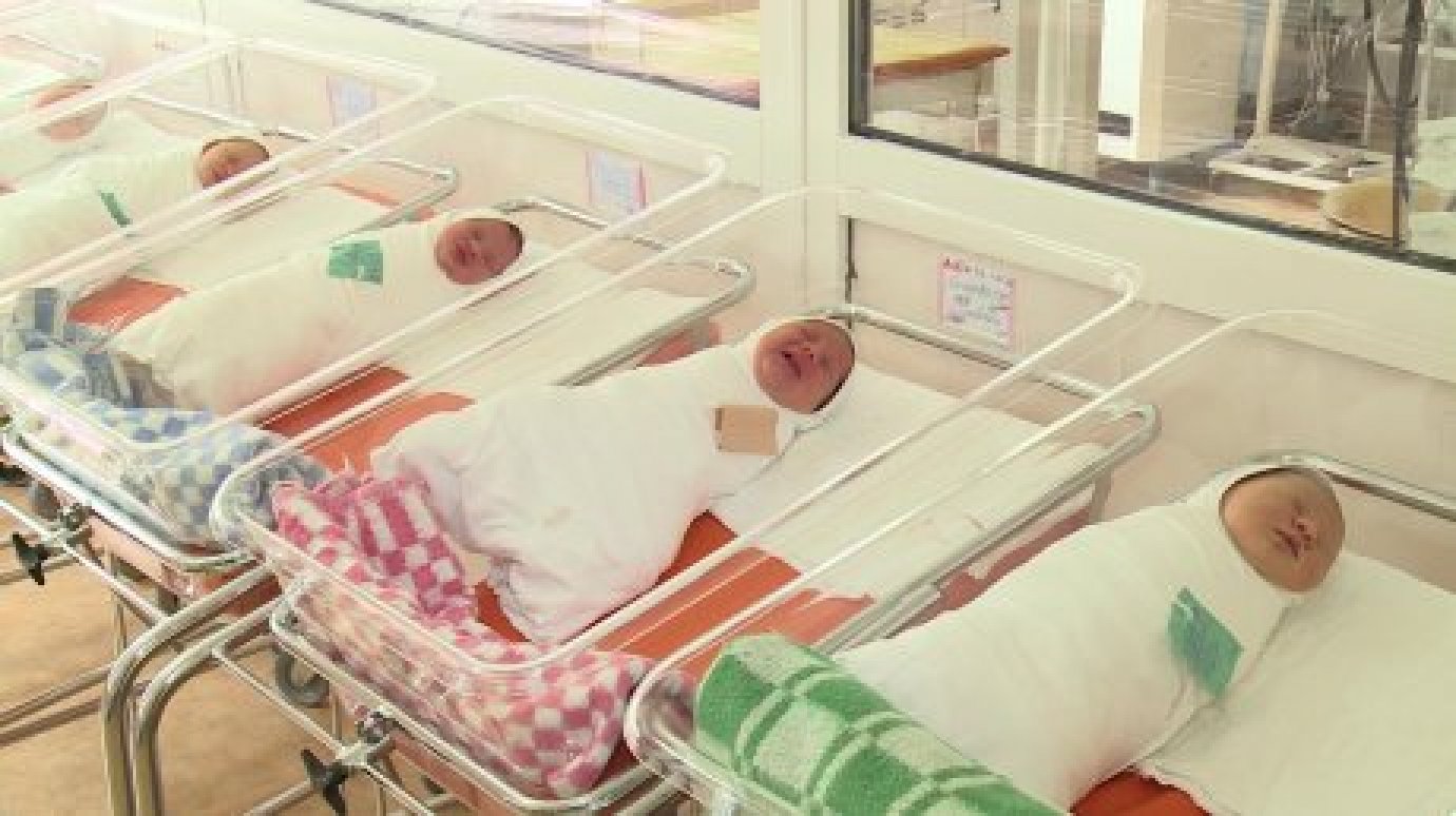 За три месяца в регионе родилось 6 двоен, зачатых с помощью ЭКО