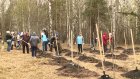 Участники СВО помогли посадить деревья на станции Селикса