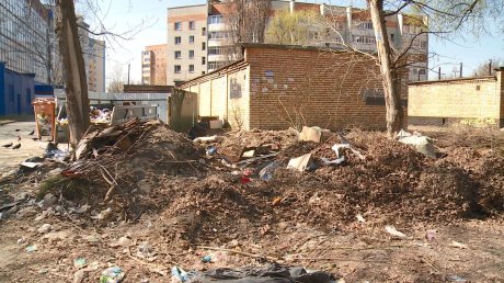 Пензенцы ждут исчезновения гор мусора у Дворца водного спорта
