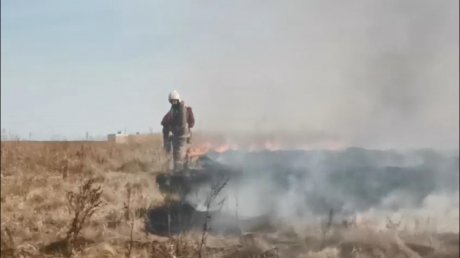 Масштаб пожара на полях в Заре засняли с воздуха