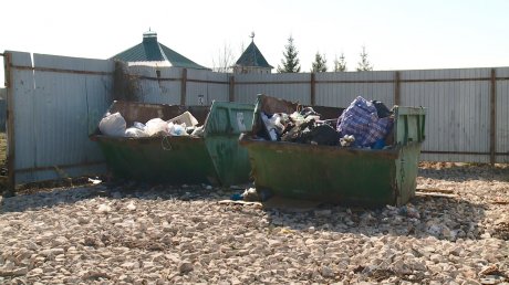 Многострадальную мусорную площадку в Заре привели в порядок
