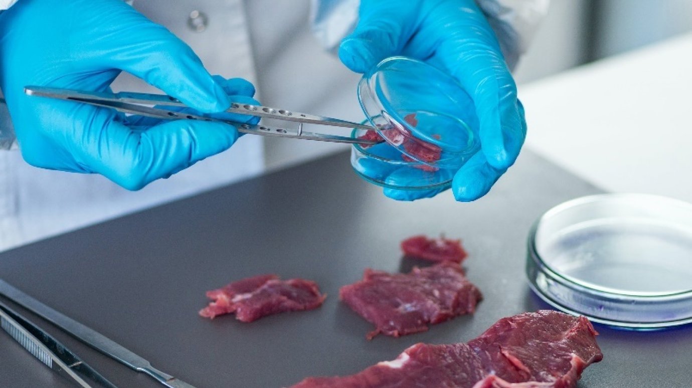 В пензенской говядине обнаружили остатки антибиотика