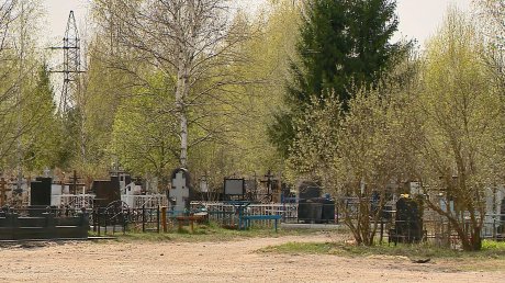На Восточном кладбище установят больше контейнеров для мусора