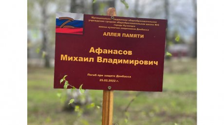 В Кузнецке имена погибших на СВО появились у каждого дерева на аллее