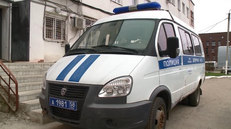 В Пензе задержали похитителя детских игрушек
