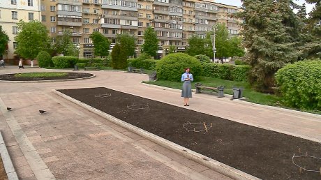 Цветник на площади Ленина порадует пензенцев своей геометрией