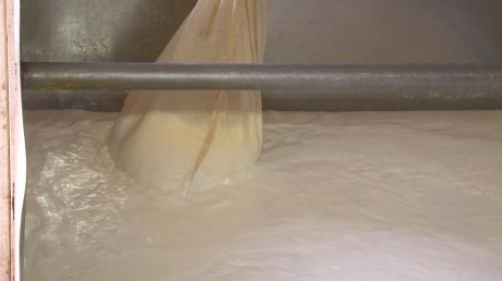 Вопрос о переработке молока решают в областном минсельхозе