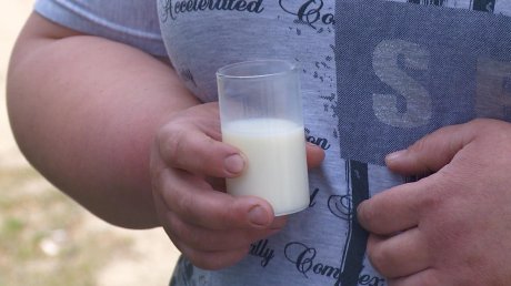 Вопрос о переработке молока решают в областном минсельхозе
