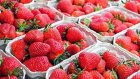 Пензенцам рекомендуют нюхать ягоды на рынке