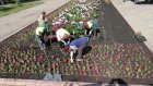 В Пензе разбили 20 цветников из 35 запланированных
