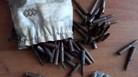 Пензенец нашел 125 патронов для винтовки среди мусора во дворе