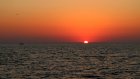Соленость Черного моря резко снизилась после подрыва Каховской ГЭС