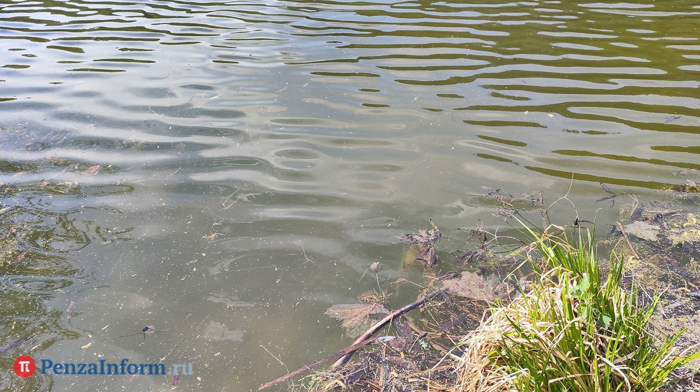 Сдохла рыба: специалисты дали оценку состоянию озера на Каланче