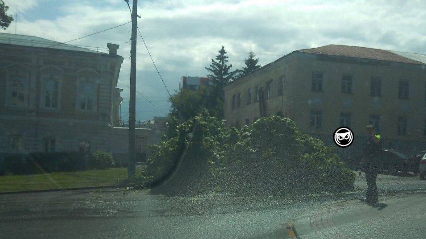 На ул. Лермонтова упавшее на дорогу дерево спровоцировало затор