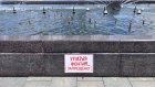 Пензенец назвал запрет на купание в главном фонтане незаконным