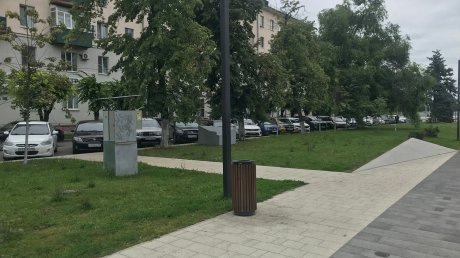 Пензенцу не хватает деревьев на улице Кирова