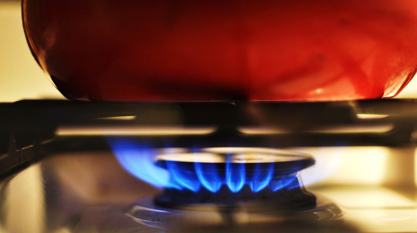 Цены на газ для всех потребителей предложили два раза повысить