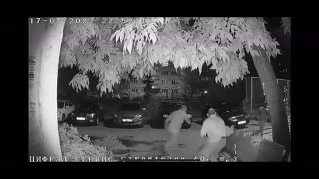 В Пензе ограбление женщины у подъезда попало на видео