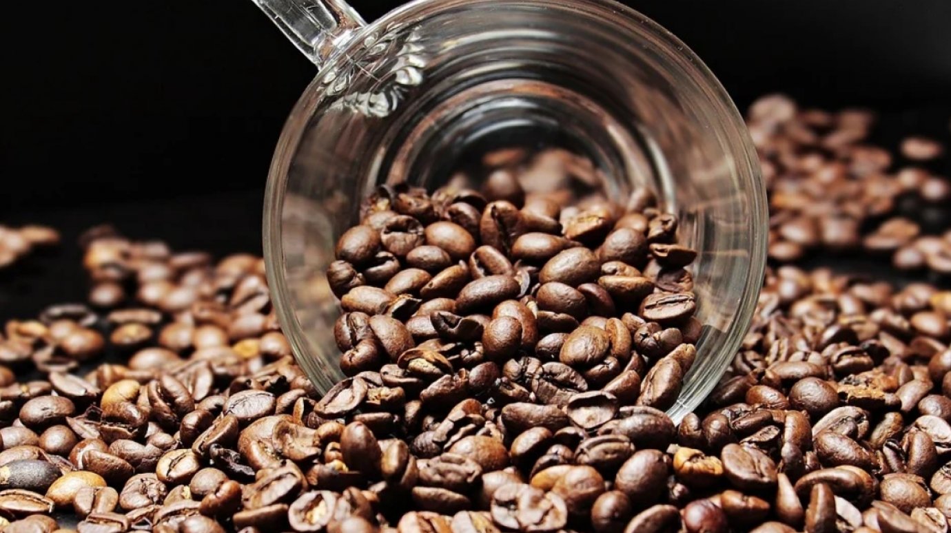 Кофе навынос может навредить здоровью пензенцев