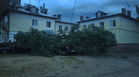 В Никольском районе случился погром из-за урагана с градом