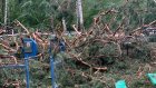 Поломанные ограды: ураган пронесся по никольскому кладбищу