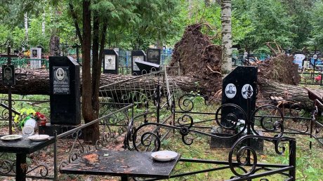 Поломанные ограды: ураган пронесся по никольскому кладбищу