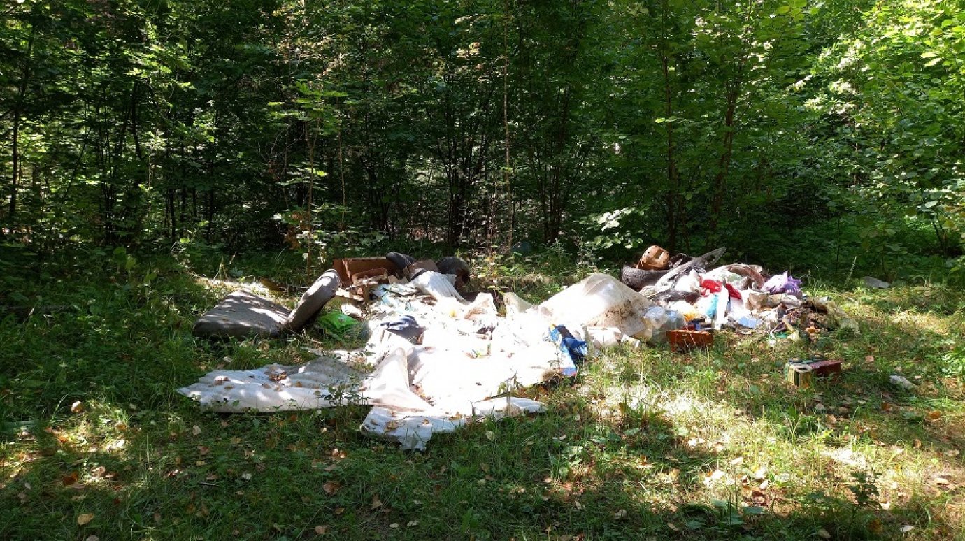 Пензенец предложил способ найти «мусорных беспредельщиков»