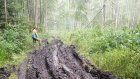Пензячка более суток блуждала по лесу в Нижегородской области