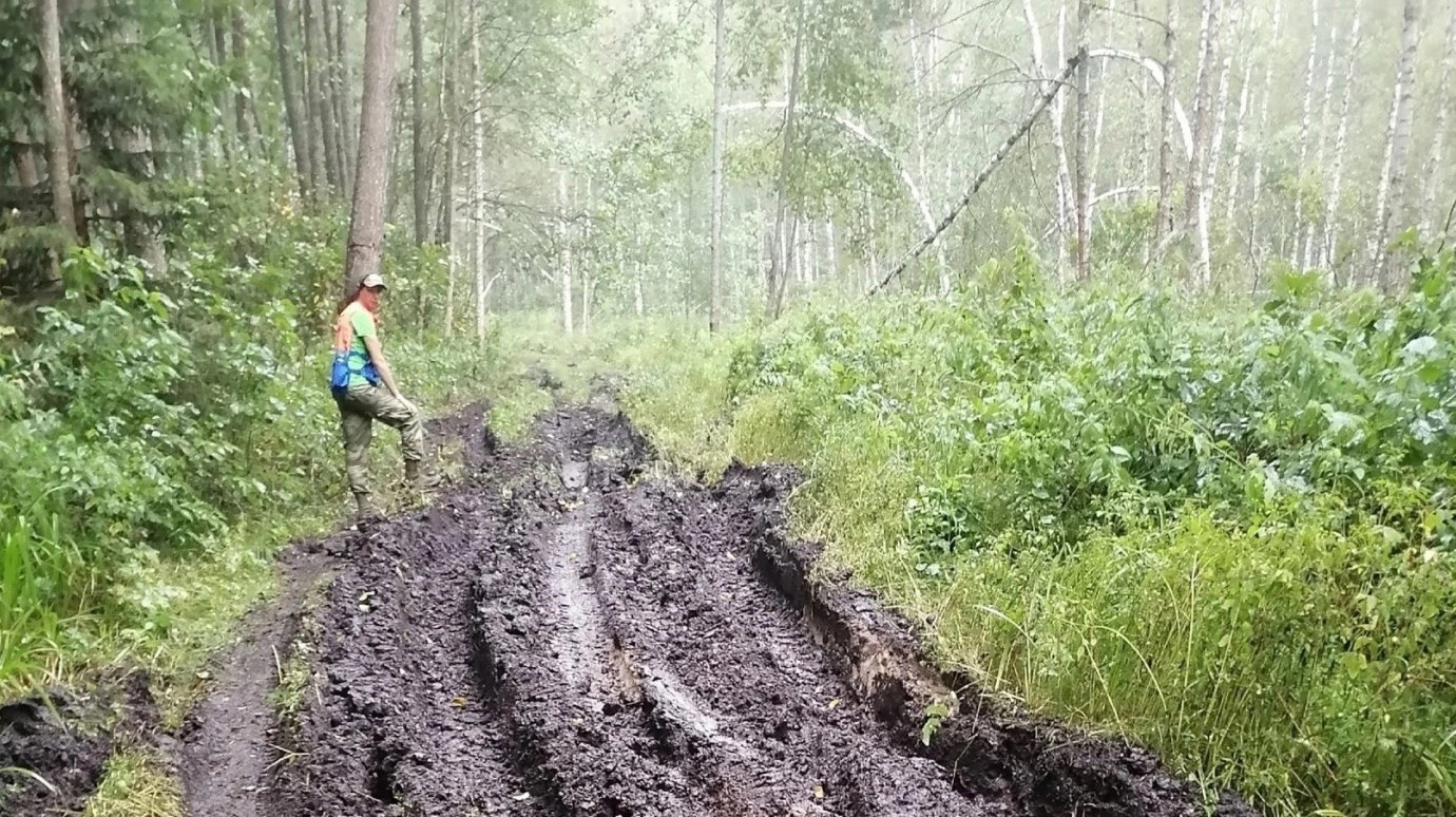 Пензячка более суток блуждала по лесу в Нижегородской области