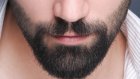 Россиянам назвали опасные последствия отсутствия ухода за бородой