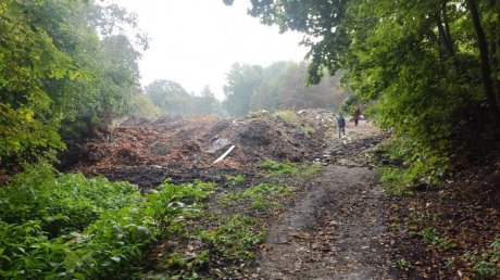 Дорожку за пединститутом очистят от мусора после благоустройства парка
