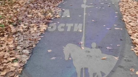 В Пензе ребенок наткнулся на отраву для собак по дороге в детсад