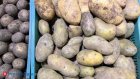 Россияне задохнулись из-за гнилого картофеля