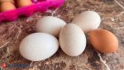 13 октября - Всемирный день яйца