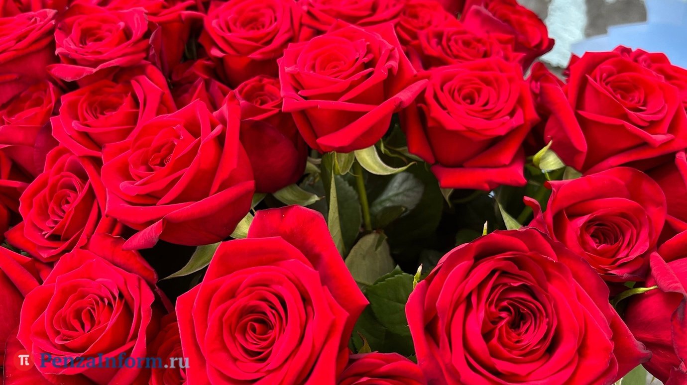 Пензенец через суд вернул деньги за 101 розу, заказанную к 8 Марта