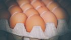 ФАС начала проверку обоснованности цен на яйца