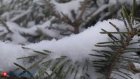 Жителей Пензенской области ждет снежное ненастье